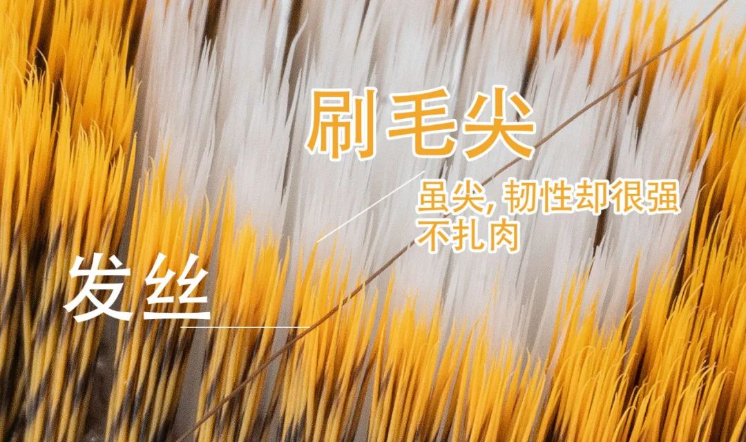 讓口腔清爽、牙齒潔白的利器！最新鬼才設(shè)計(jì)——火爆全球的牙刷！0.18超細(xì)尖毛，25度天鵝頸，牙縫殘?jiān)⑽酃敢粧叨狻? src=